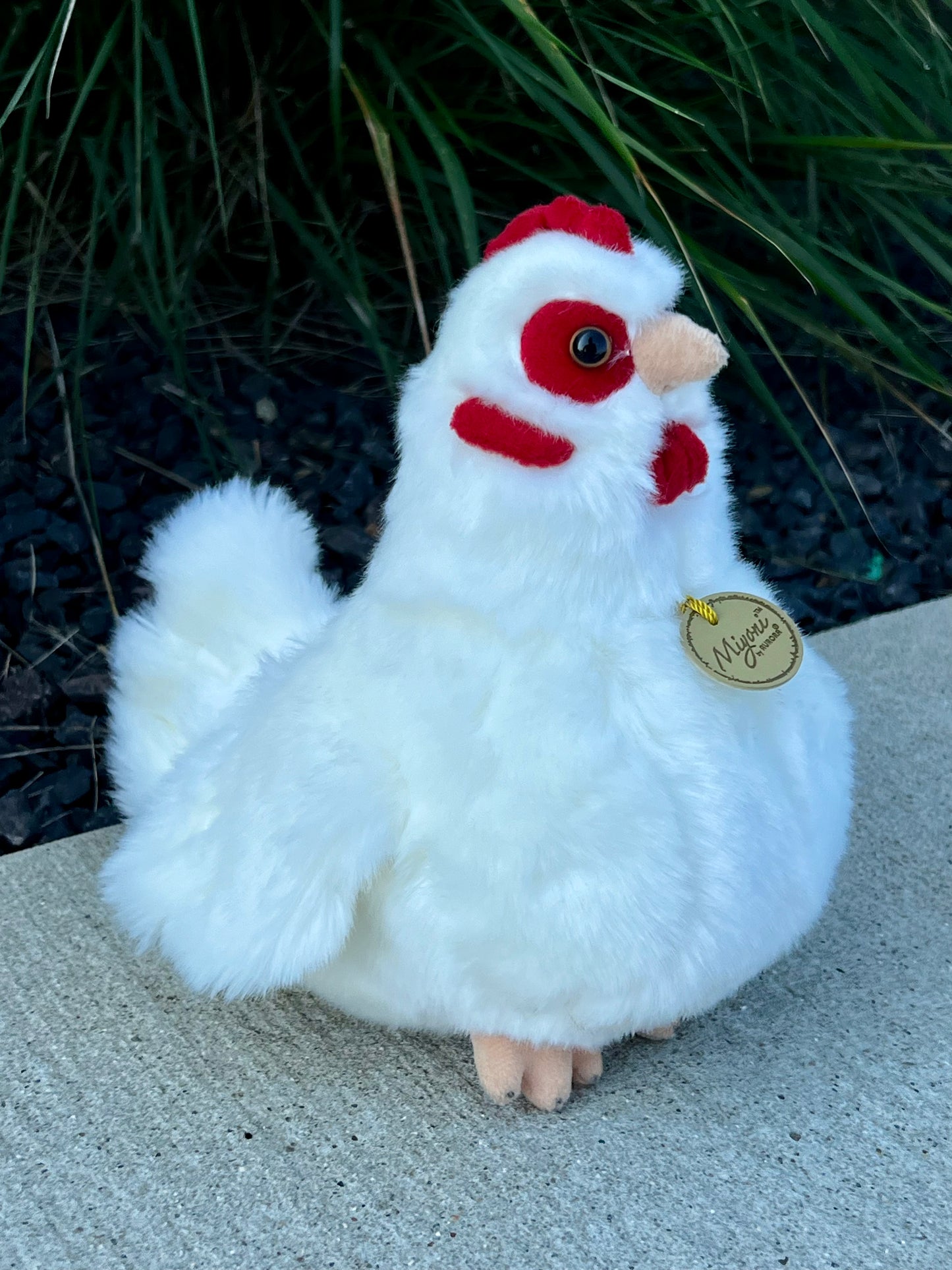 Hayley Hen