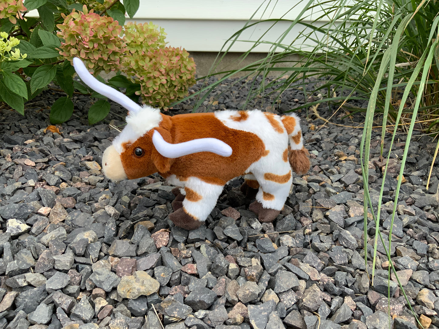 Plush Stuffed Animals