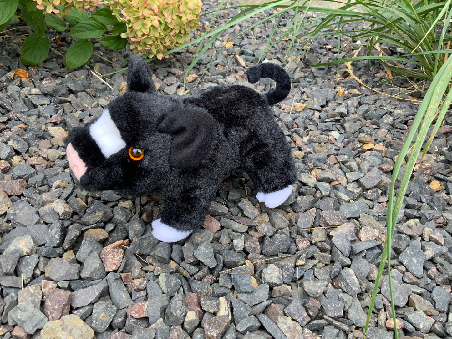 Plush Stuffed Animals