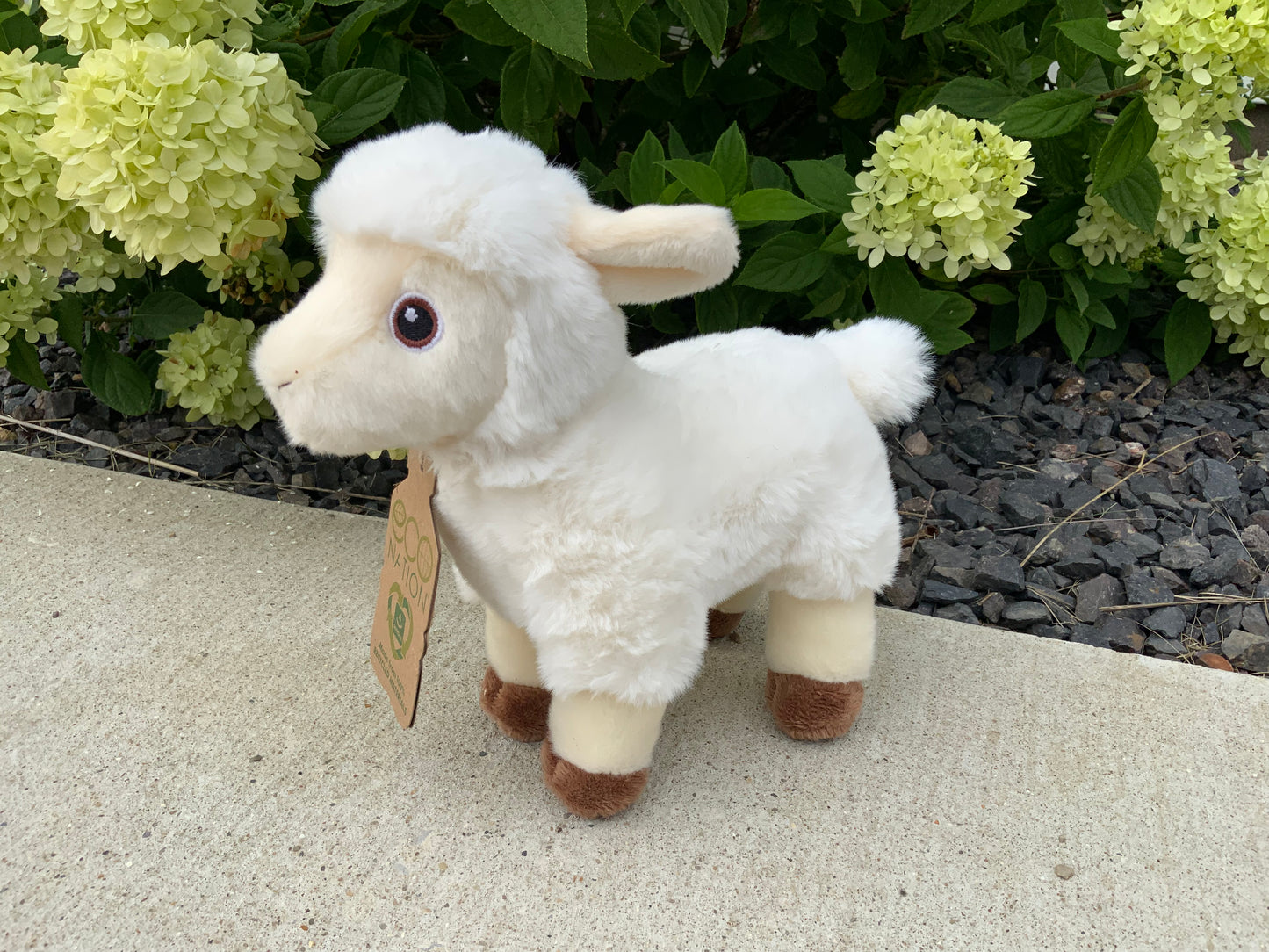 Lulu Lamb