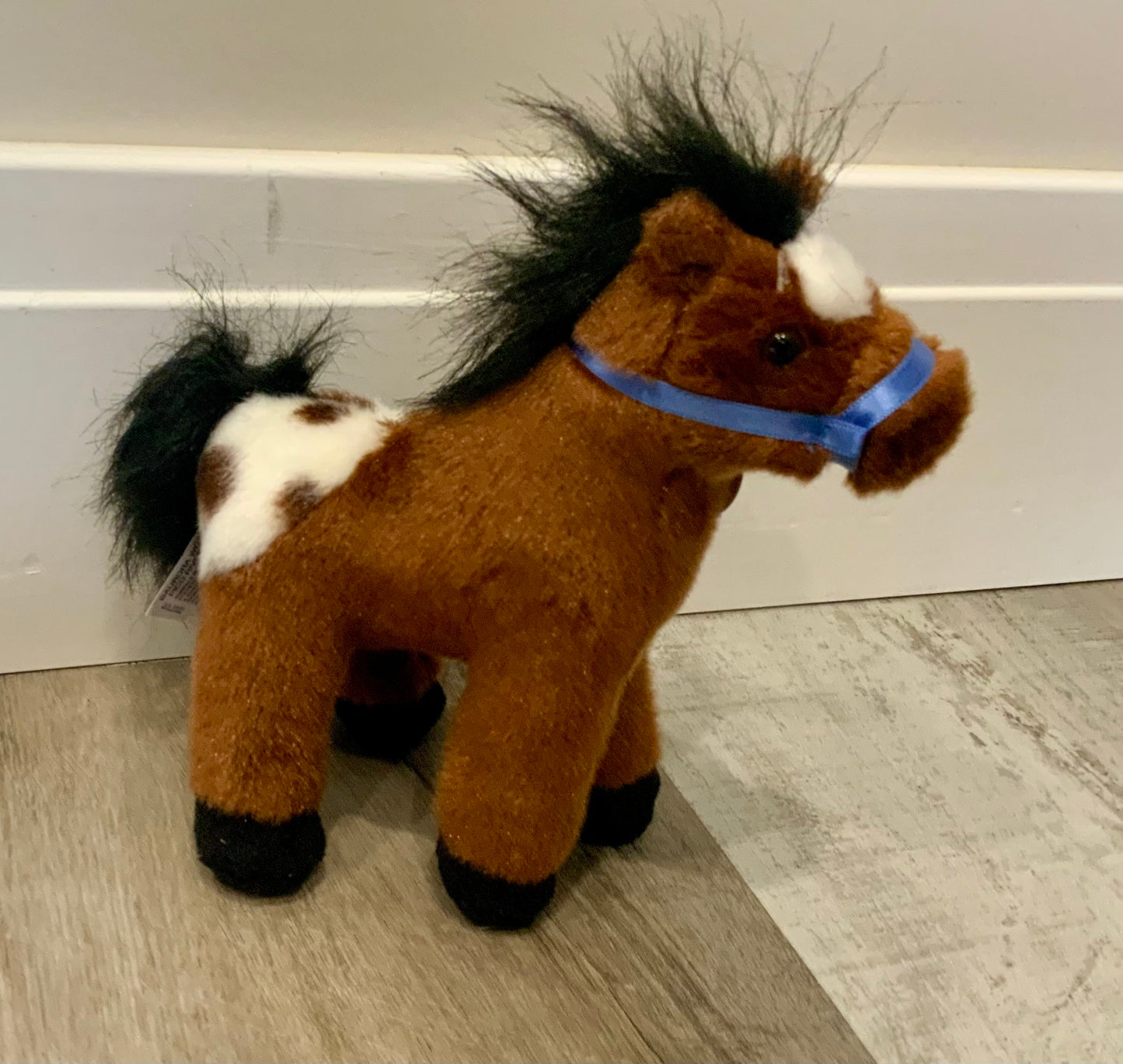 Arnie Appaloosa