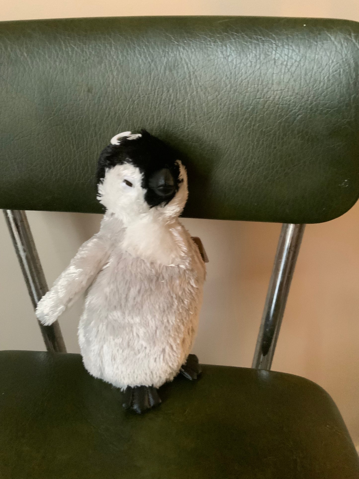 Baby Penguin