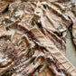 Howdy Plains 2 Piece Pjs
