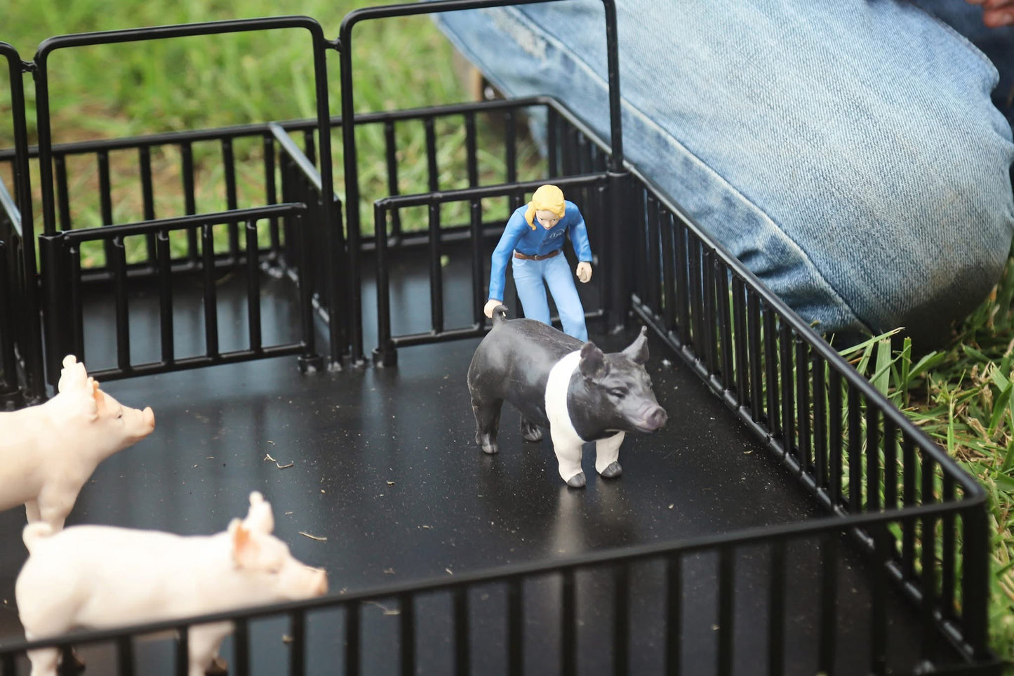 Show Arena w/ Holding Pens