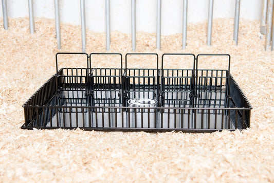 Show Arena w/ Holding Pens