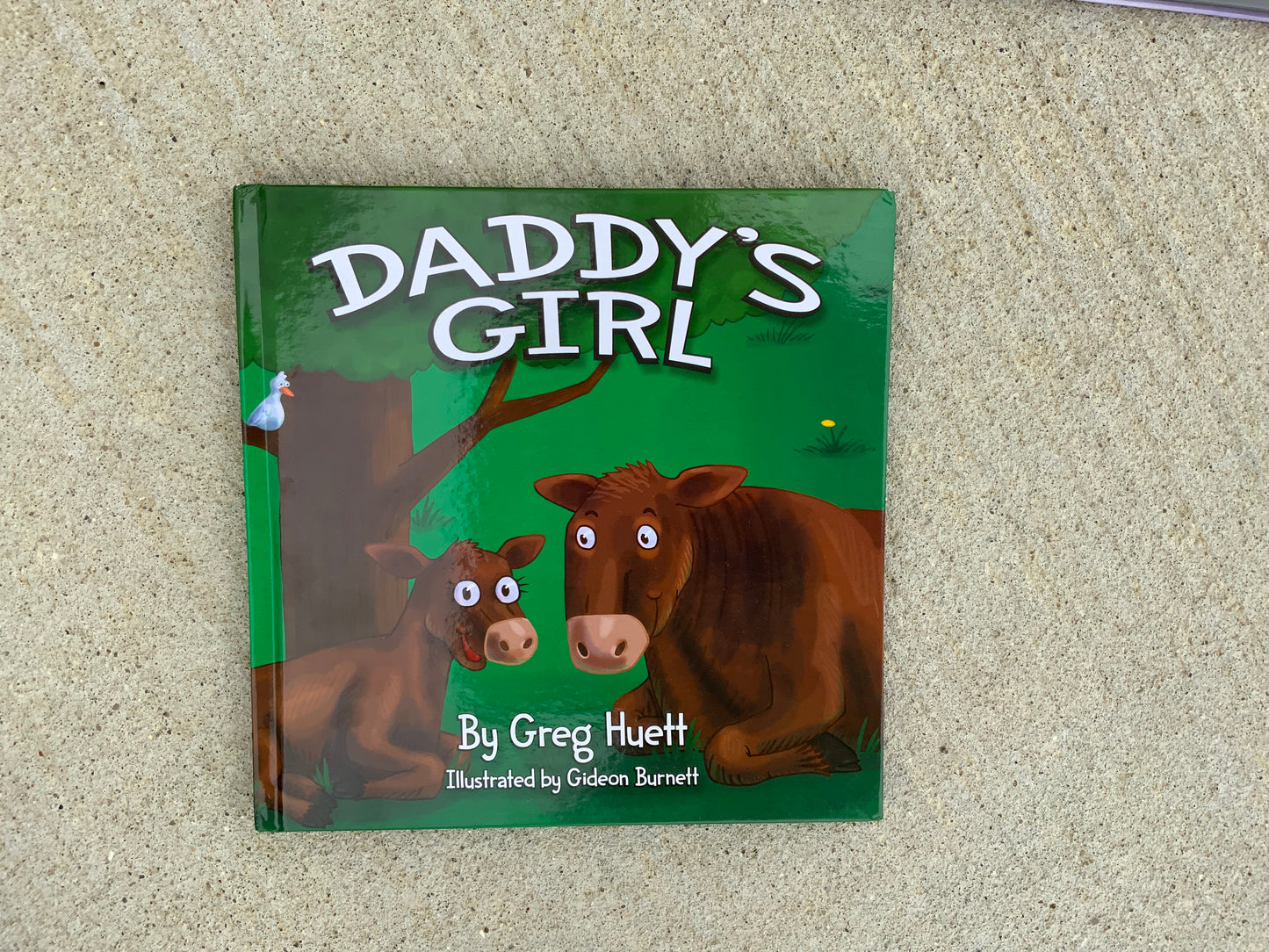 Daddy’s Girl Hardback Book