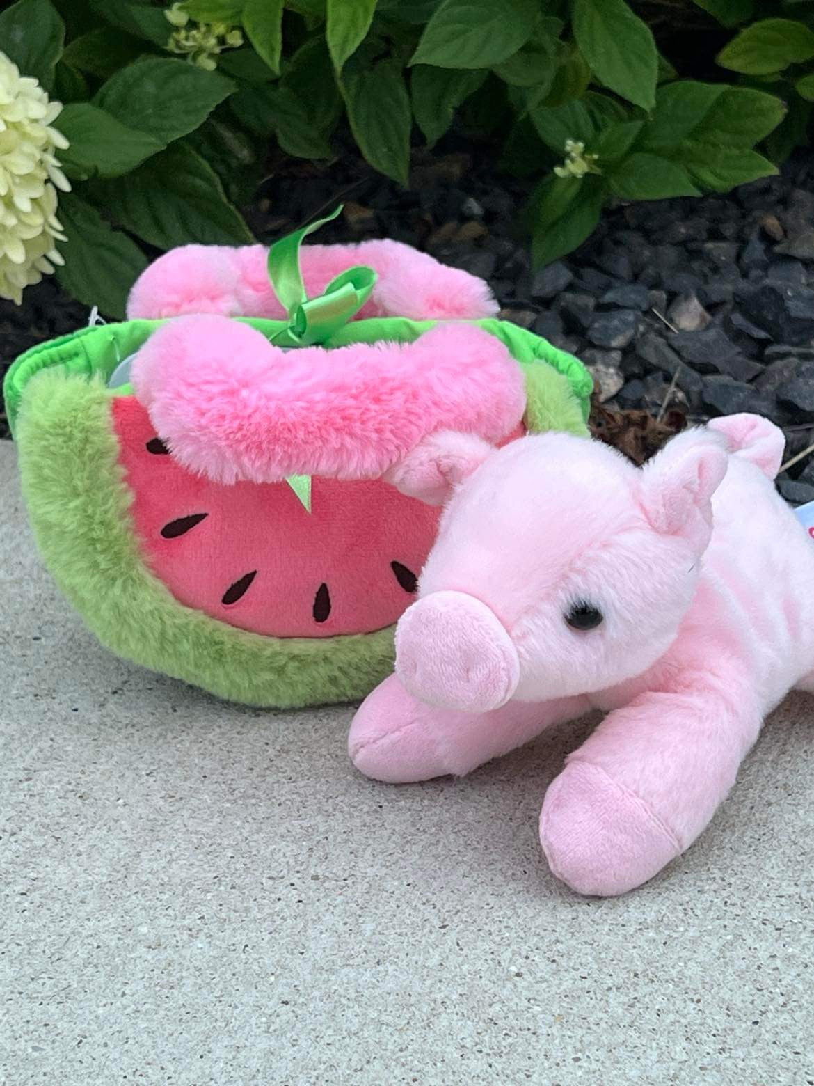 Watermelon Purse Piglet