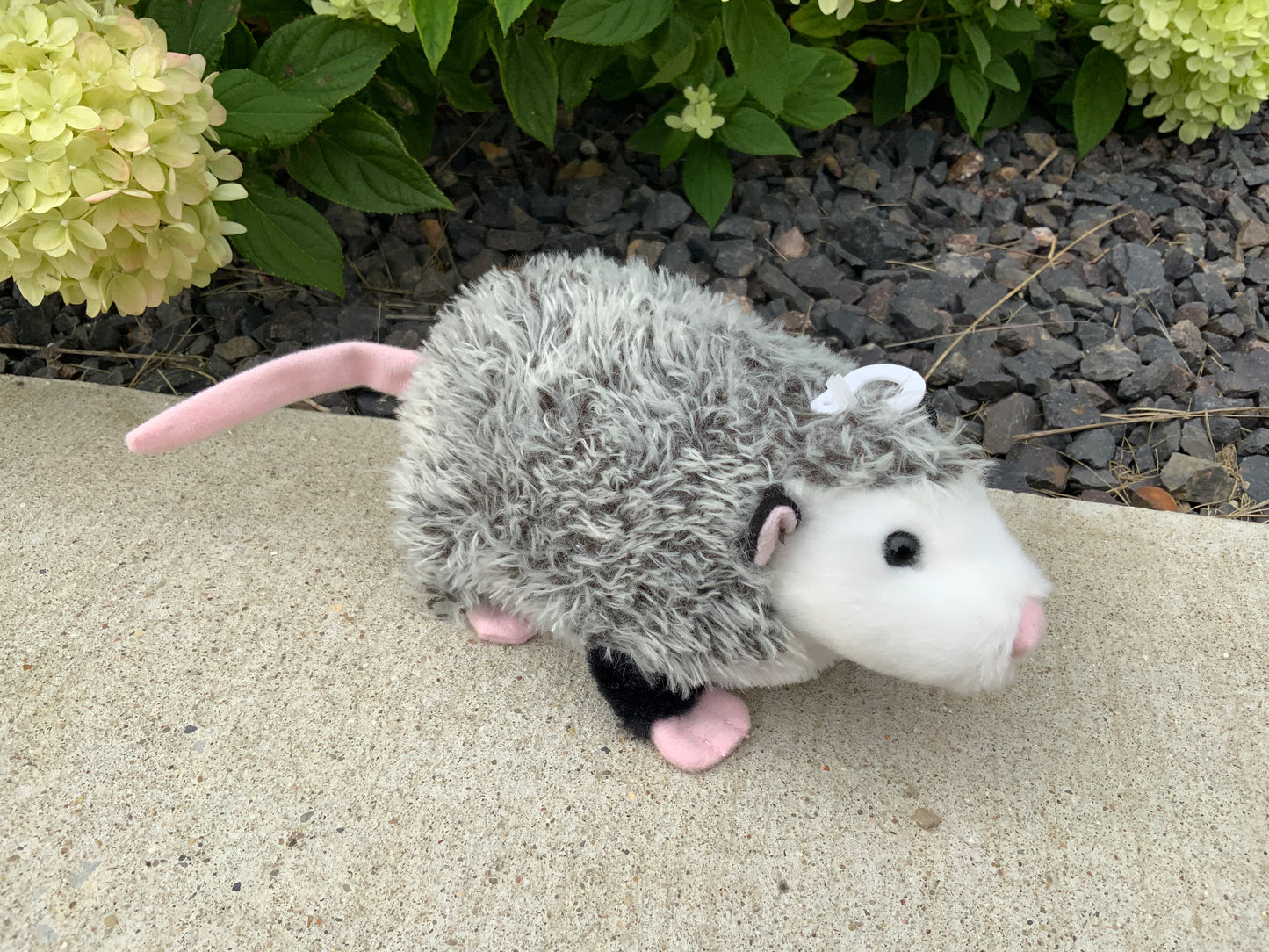 Ozzie Opossum