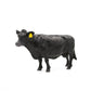 Angus Cow Toy