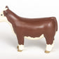 Hereford Show Heifer
