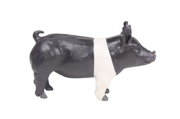 Hampshire Show Pig Toy