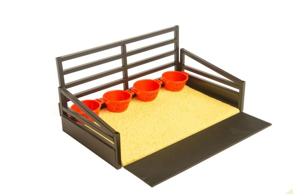 Show Cattle Stall Display