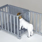 Hog Sheep Goat Scale