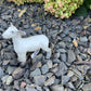 Grand Champion Dorset Market Lamb