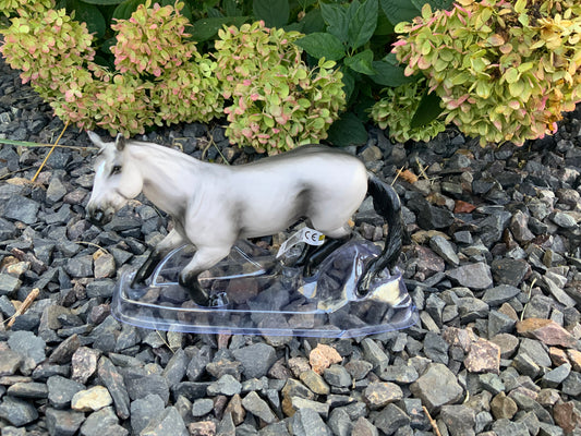 Barrel Horse Gray Gelding