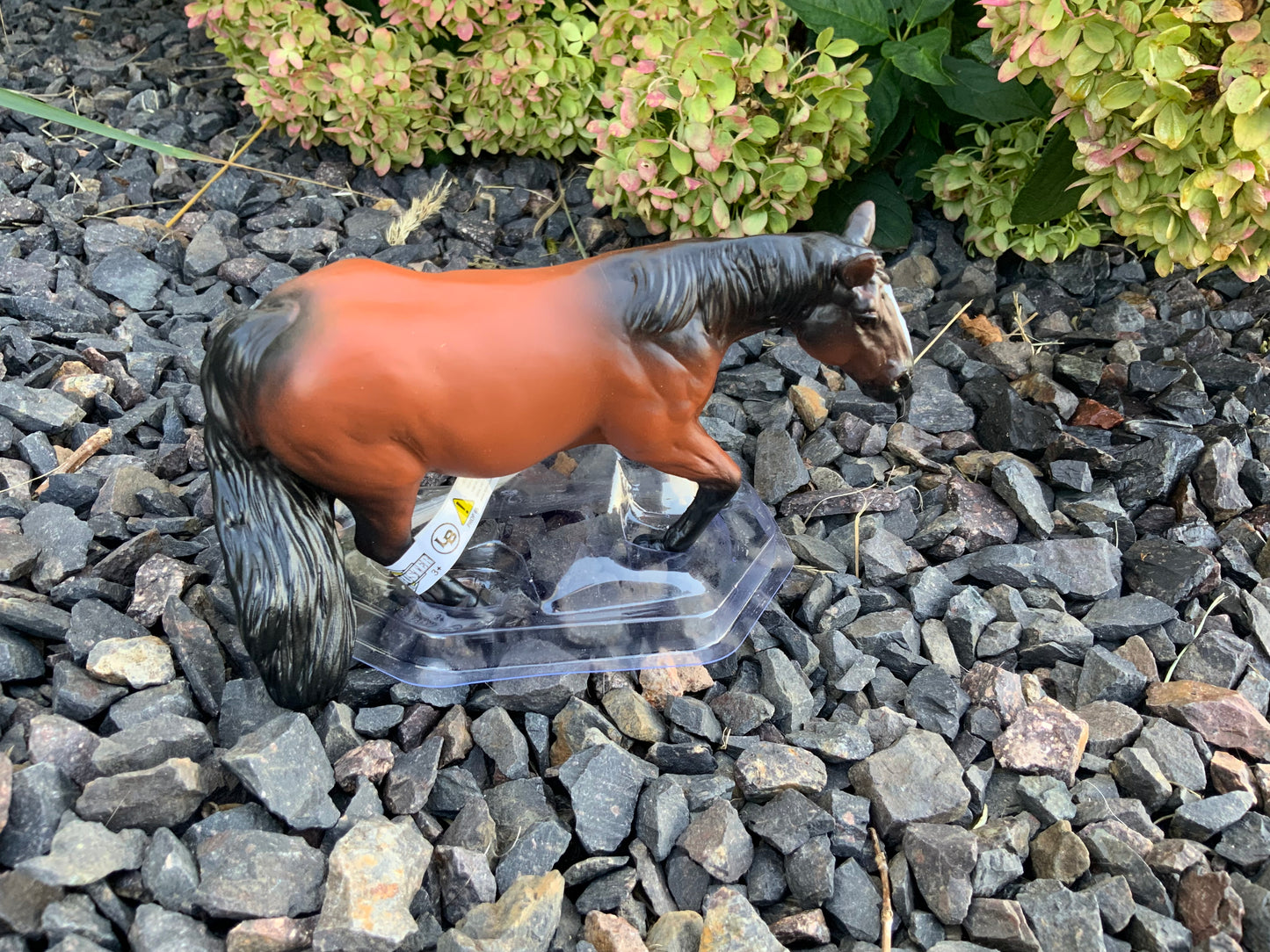 Barrel Horse Bay Gelding