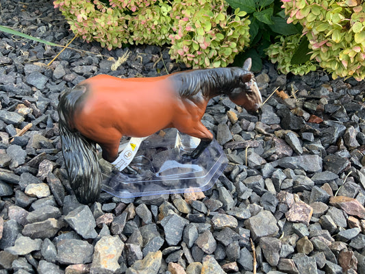 Barrel Horse Bay Gelding