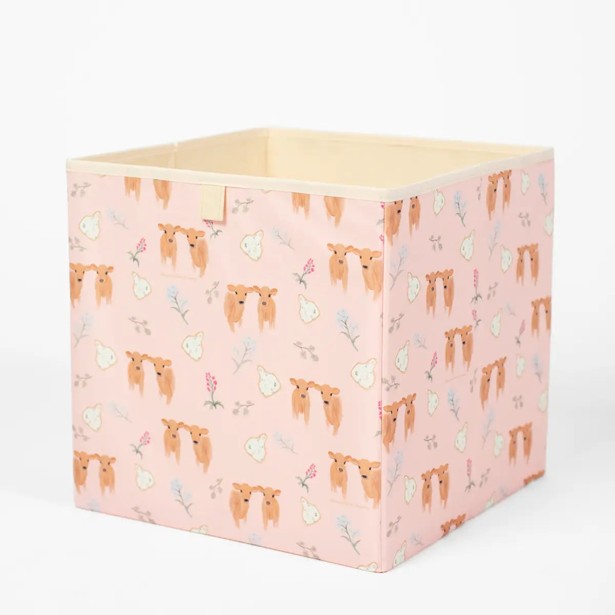 Cube Storage Bins