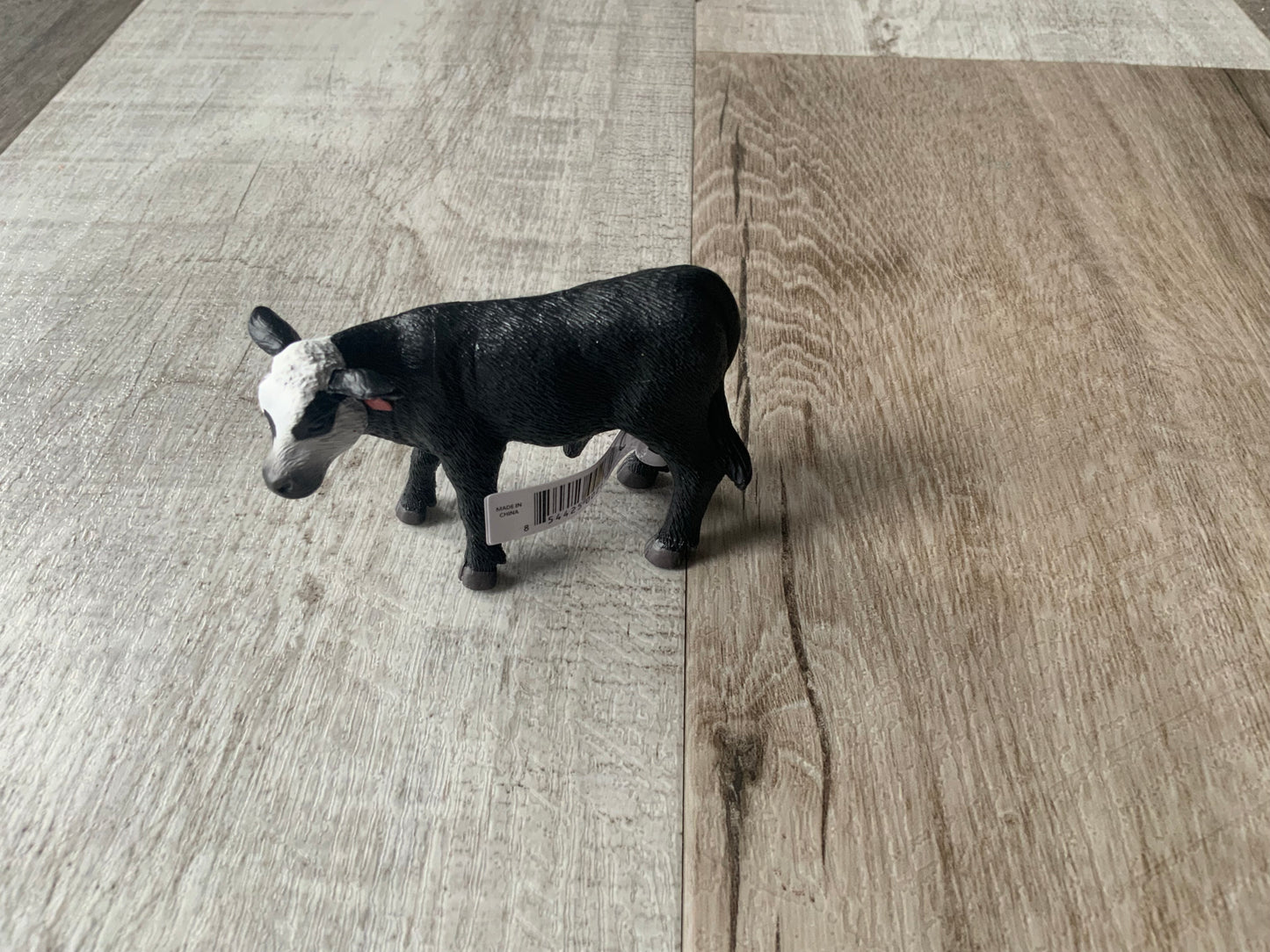 Black/White Face Calf