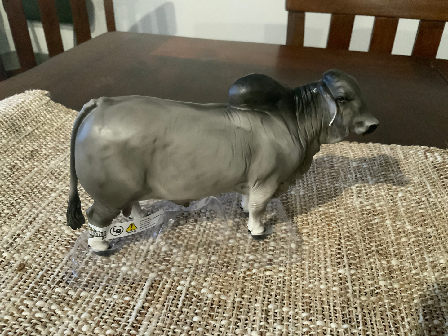 Brahman Bull