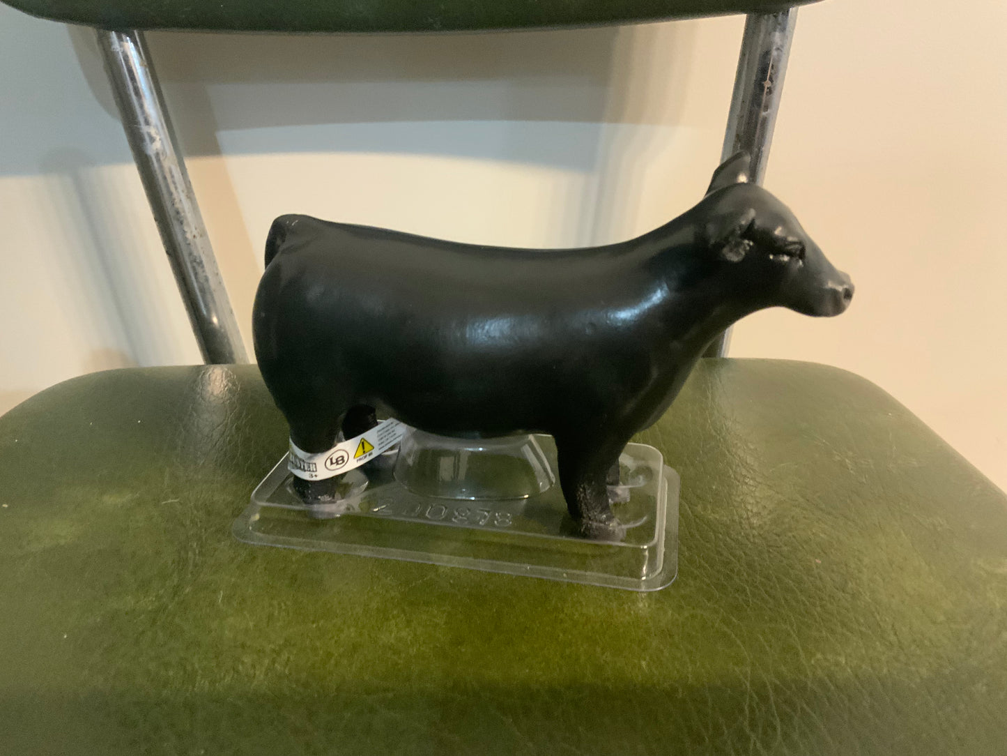 Champion Show Steer Black