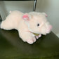 Penny Pig