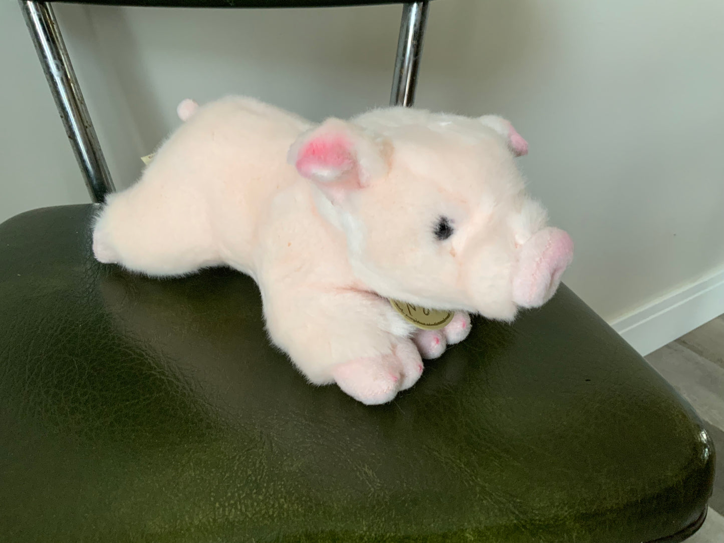 Penny Pig