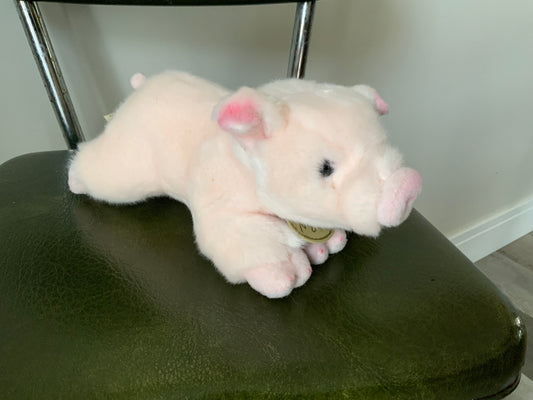 Penny Pig