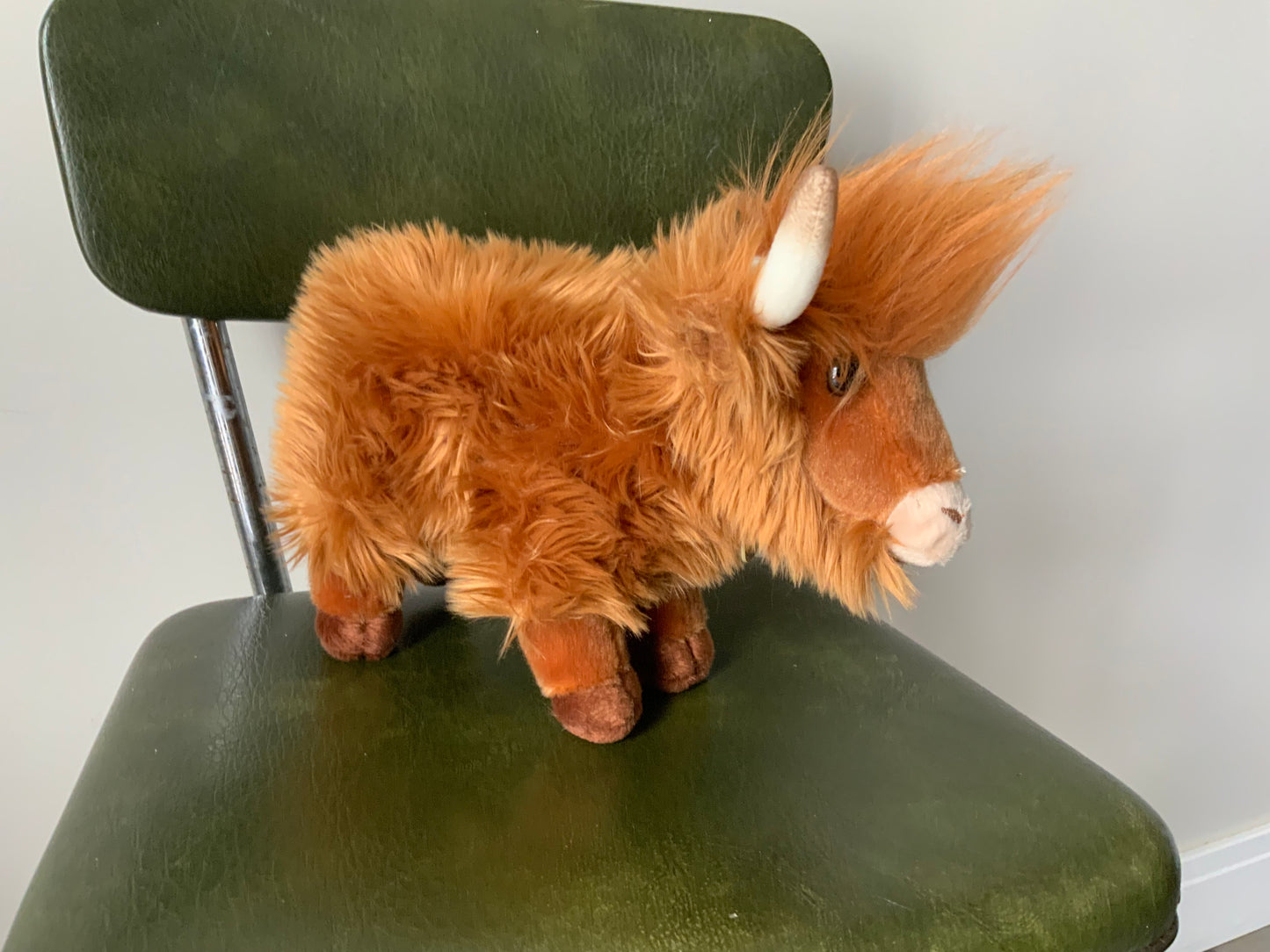 Hank the Highland Cow