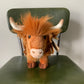 Hank the Highland Cow