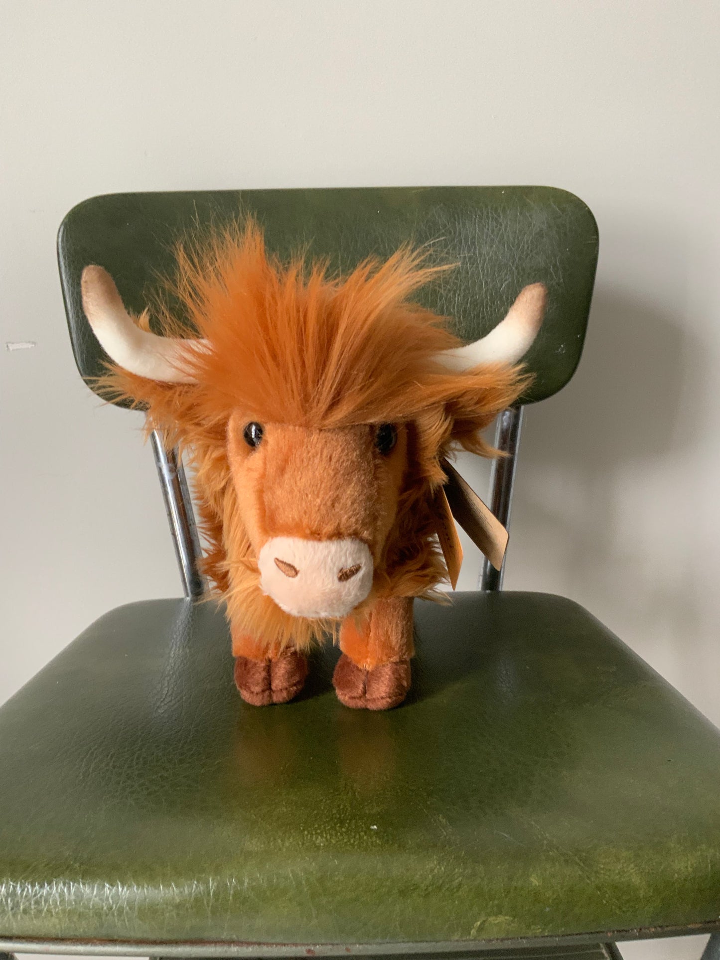 Hank the Highland Cow