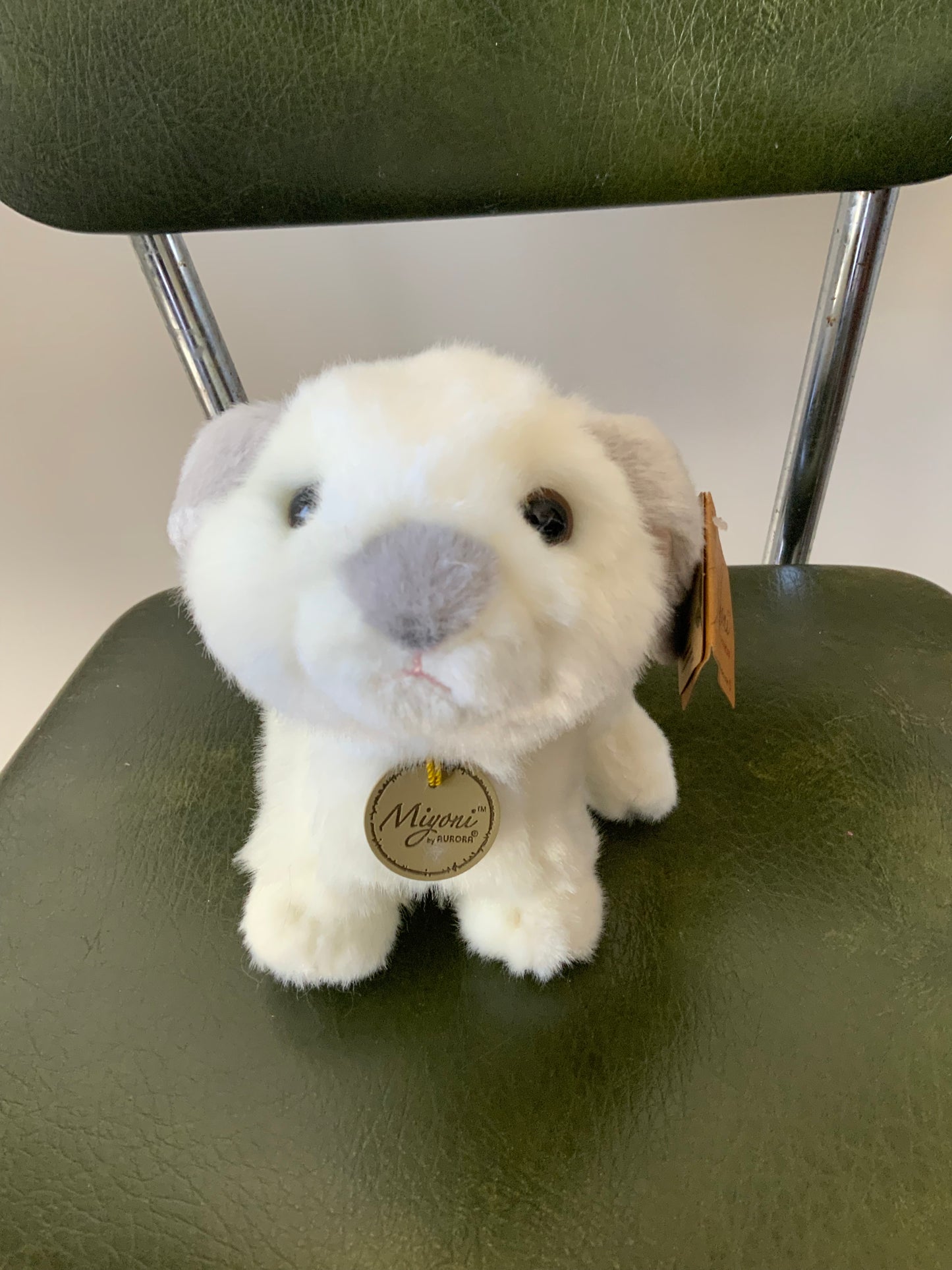 Lop Eared Rabbit w/ Gray Ears