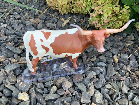 Texas Longhorn Steer Red/White
